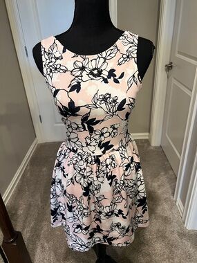 Necessary Objects Blush Pink and Black Floral Sleeveless Mini Dress